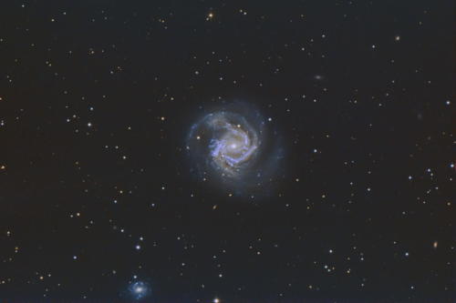M61 Spiralgalaxie im Sternbild Jungfrau