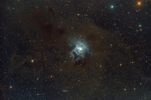 NGC7023 Irisnebel im Cepheus